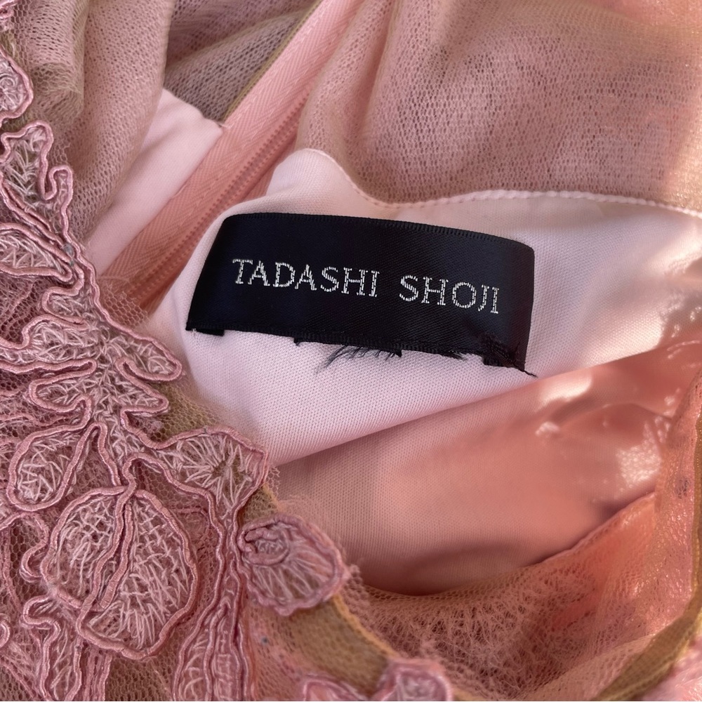 TADASHI SHOJI Embroidered Lace Cape Dress in Rose Quartz (Altered) - Picture 8 of 11